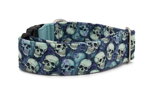 Collar Blue Skulls